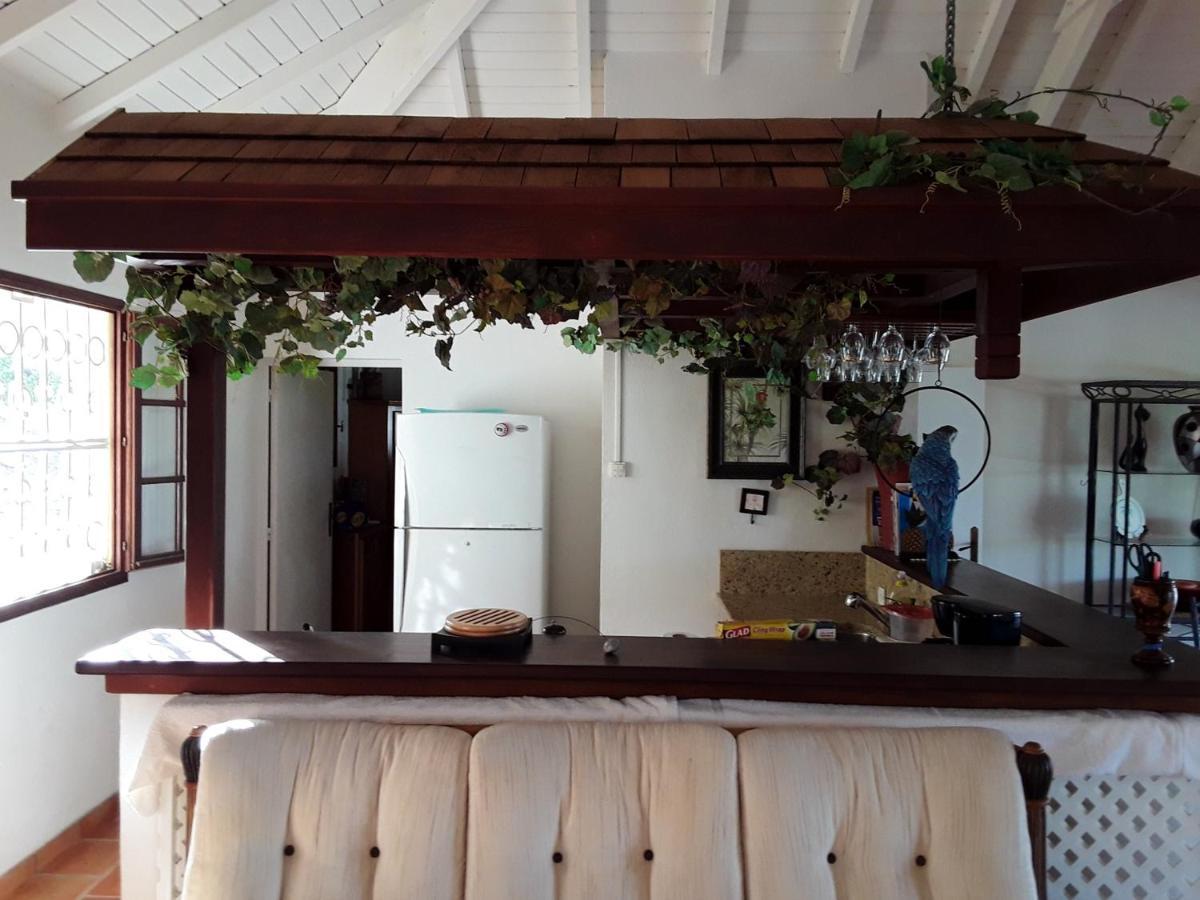 Luxurious Villa In Saint Martin Cul de Sac Εξωτερικό φωτογραφία